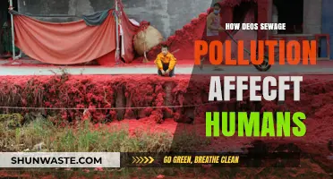 Sewage Pollution: Understanding Its Impact on Human Health
