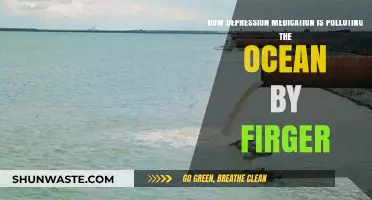 Ocean Pollution: Antidepressants' Fingerprints