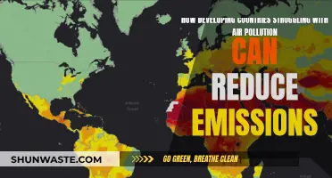 Developing Nations: Reducing Air Pollution Emissions