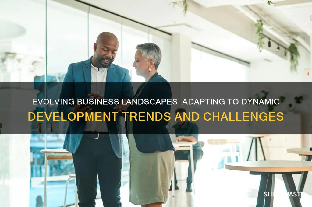how development a business environment is changing