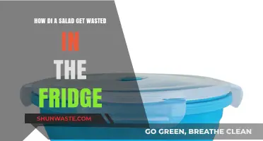 Preventing Salad Spoilage: Tips to Save Your Greens in the Fridge