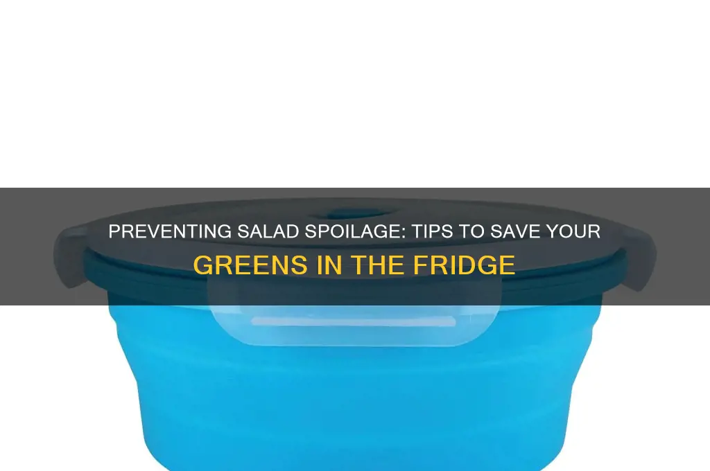 how di a salad get wasted in the fridge