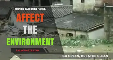 1931 China Floods: Environmental Impacts and Long-Term Consequences