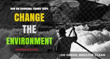 Aboriginal Fishing Traps: Environmental Impact and Ecosystem Transformation