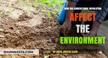 Agricultural Revolution's Environmental Impact: Transforming Landscapes and Ecosystems