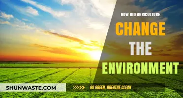 Agriculture's Environmental Impact: Transforming Landscapes and Ecosystems Forever