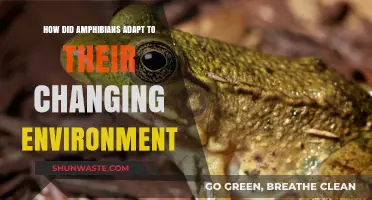 Amphibians' Survival Strategies: Adapting to Environmental Changes Over Time