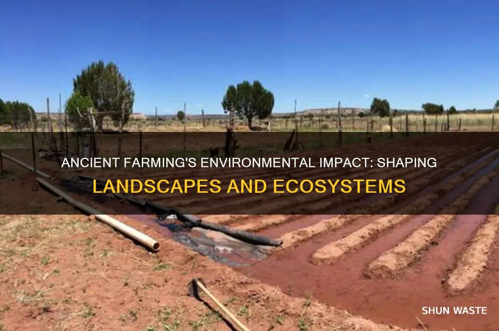 how did ancient agricultural practices affect the environment