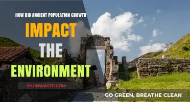 Ancient Population Growth: Environmental Consequences and Ecological Transformations