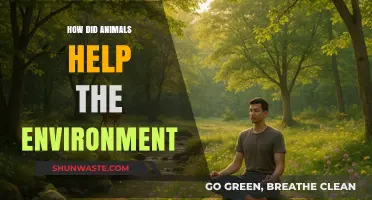 Animals' Vital Role in Sustaining and Balancing Our Ecosystem