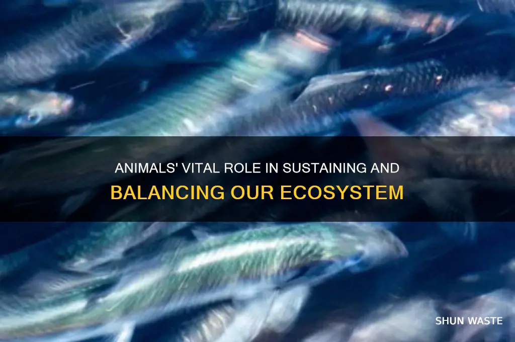 how did animals help the environment