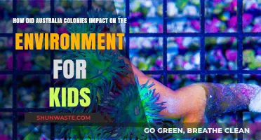 Australia's Colonies: Environmental Changes Explained for Curious Kids