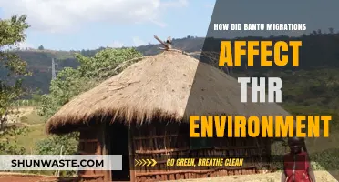 Bantu Migrations' Environmental Impact: Transforming Landscapes and Ecosystems