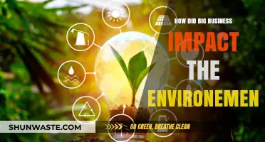 Corporate Giants and Their Environmental Footprint: A Critical Analysis