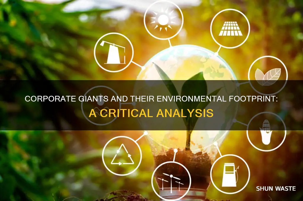 how did big business impact the environement