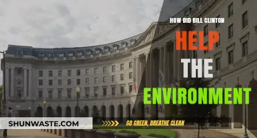 Bill Clinton's Environmental Legacy: Policies and Impact on Sustainability