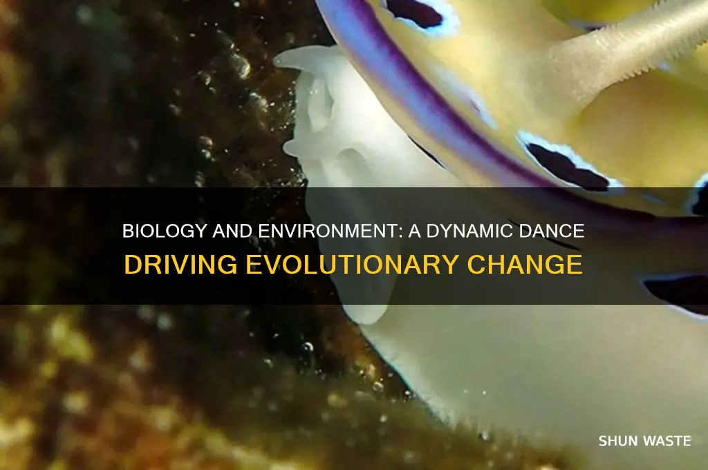 how did biology and environment interact to promote change