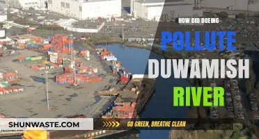 Boeing's Toxic Legacy in the Duwamish River