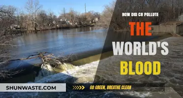 The World's Blood: C8's Toxic Legacy