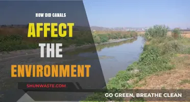 Canals' Environmental Impact: Transforming Landscapes and Ecosystems