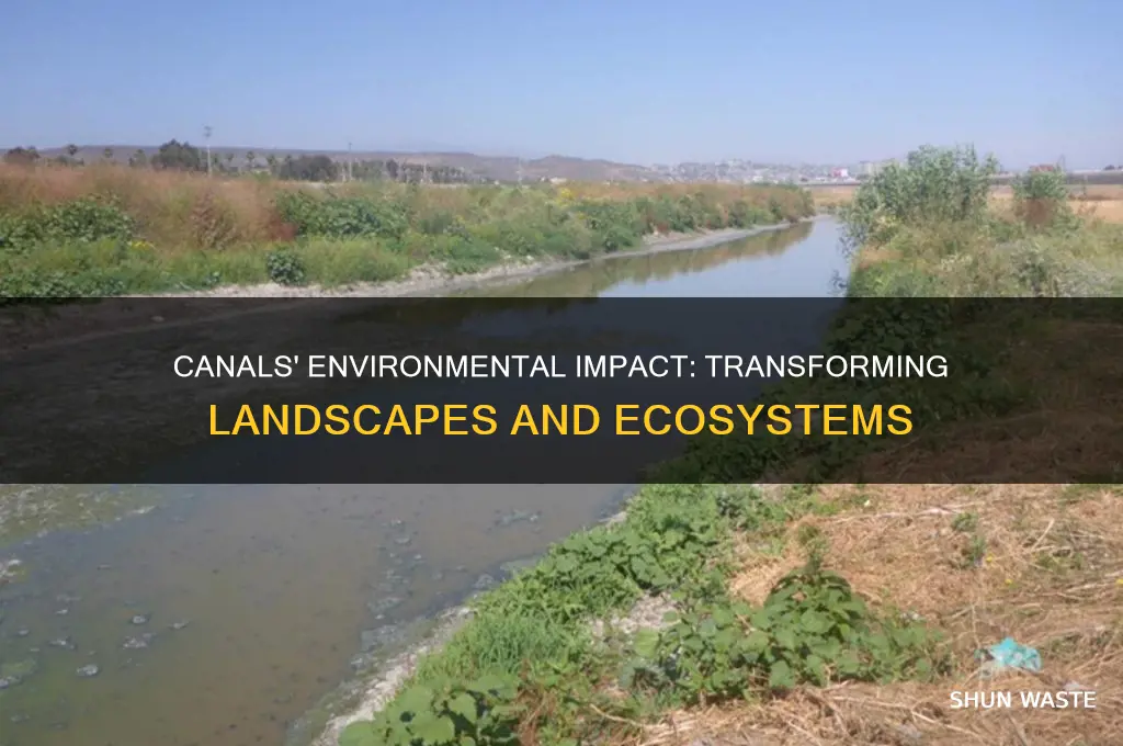 how did canals affect the environment
