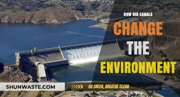 Canals' Environmental Impact: Transforming Landscapes and Ecosystems Forever