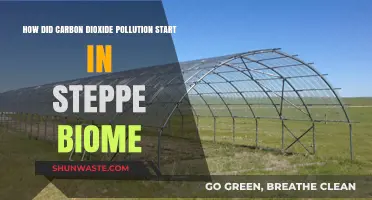 Steppe Biome's Carbon Dioxide Pollution: Origins and Culprits