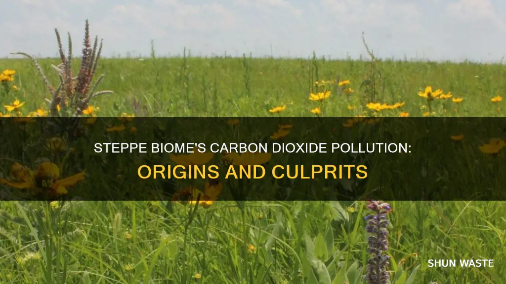 how did carbon dioxide pollution start in steppe biome