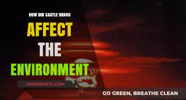 Castle Bravo's Environmental Impact: Long-Term Consequences of Nuclear Testing