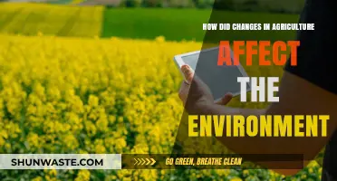 Agricultural Shifts: Environmental Impacts and Sustainable Farming Solutions