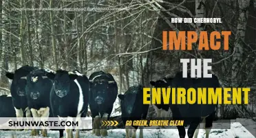 Chernobyl's Environmental Legacy: Long-Term Effects on Ecosystems and Wildlife