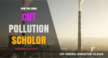 China's Anti-Pollution Measures: A Scholar's Insight