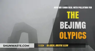 China's Olympic Pollution Solution
