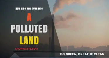 China's Pollution Crisis: A Historical Overview