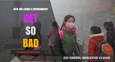 China's Environmental Crisis: A Historical Journey to Pollution and Degradation