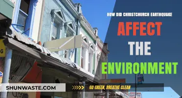 Christchurch Earthquake's Environmental Impact: Shifts, Challenges, and Recovery Efforts