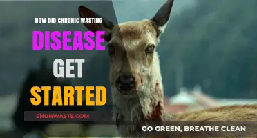 Unraveling the Origins of Chronic Wasting Disease: A Comprehensive Overview