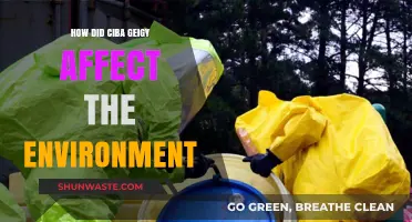 Ciba Geigy's Environmental Impact: Pollution, Cleanup, and Legacy Explored
