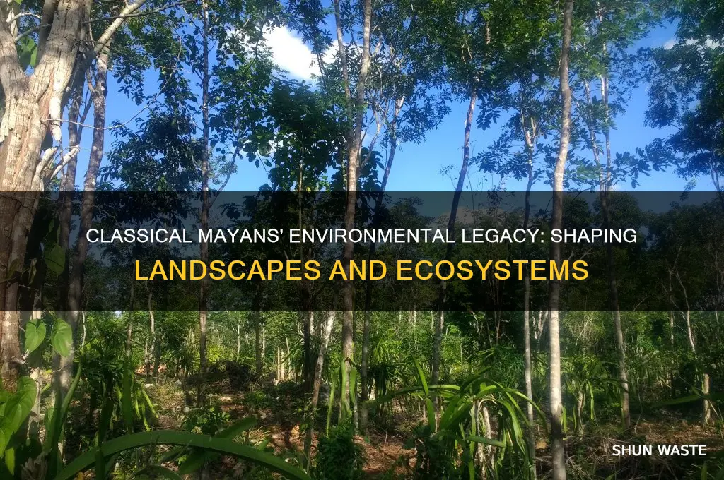 how did classical mayans impact the environment