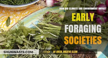 Climate Shifts and Environmental Forces Shaping Early Foraging Societies