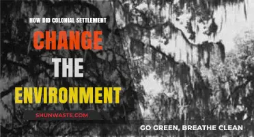 Colonial Settlement's Environmental Impact: Transforming Landscapes and Ecosystems Forever