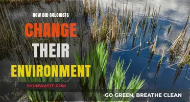 Colonial Impact: Transforming Landscapes and Ecosystems in the New World