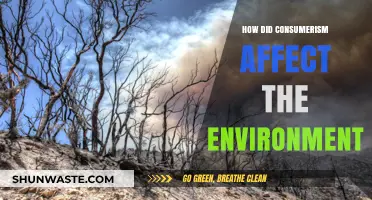 Consumerism's Environmental Impact: Unraveling the Ecological Consequences of Overconsumption