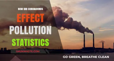 Coronavirus Impact: Pollution Statistics and Trends