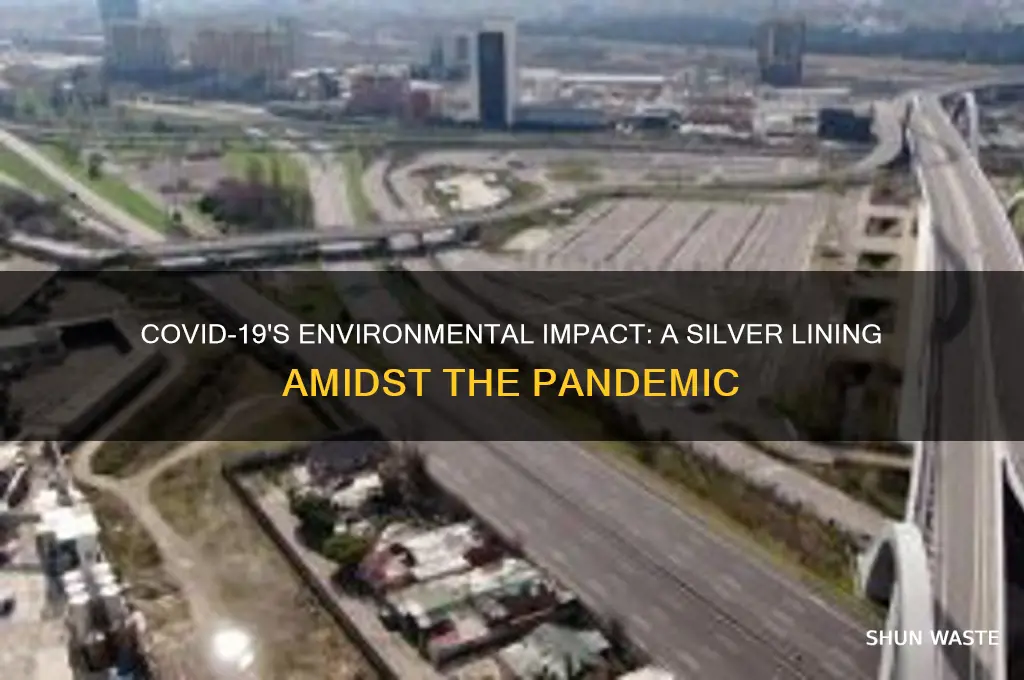 how did covid affect the environment