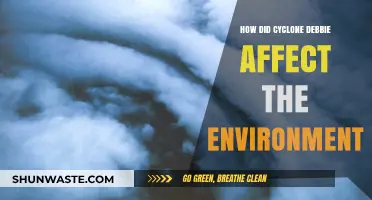 Cyclone Debbie's Environmental Impact: Devastation, Recovery, and Ecosystem Changes