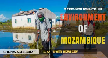 Cyclone Eloise's Devastating Impact on Mozambique's Environment and Ecosystems