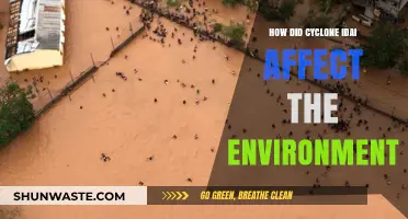 Cyclone Idai's Devastating Environmental Impact: A Comprehensive Analysis