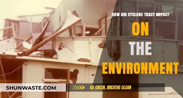 Cyclone Tracy's Devastating Environmental Legacy: A Comprehensive Analysis
