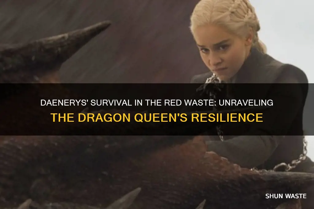 how did daenerys survive the red waste